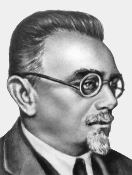 василий образцов и николай стражеско. стражеско николай дмитриевич вклад в медицину. н д стражеско вклад в медицину. н д стражеско. николай дмитриевич 1876 1952.