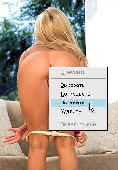 __l1040557597.jpg