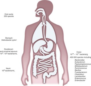 bacteria2.jpg
