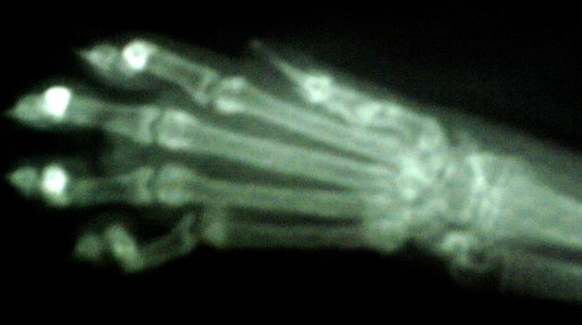 CRIM0024.jpg