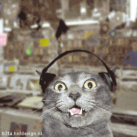 6.gif