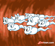 pic60.gif