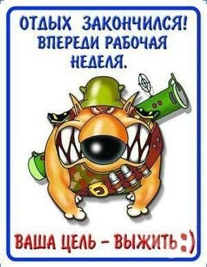 07.JPG