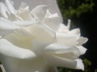 S6300303.JPG