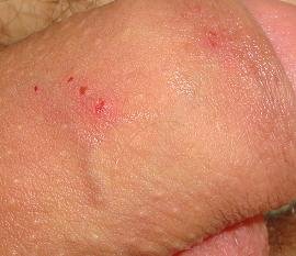 DSC04504.JPG