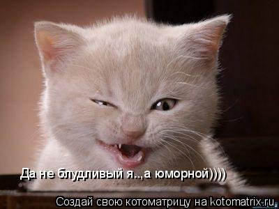 кошечка.jpg