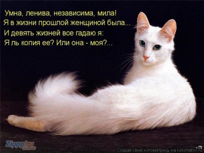 умна.jpg