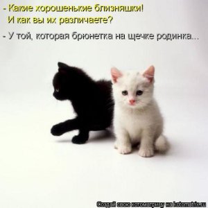 родинкка.jpg