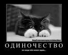 кэти.jpg