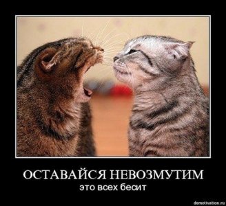 x_0607411b.jpg