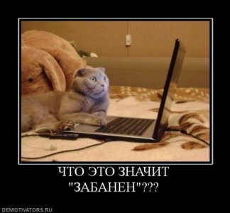 sm_f_4b30df2d26209.jpg