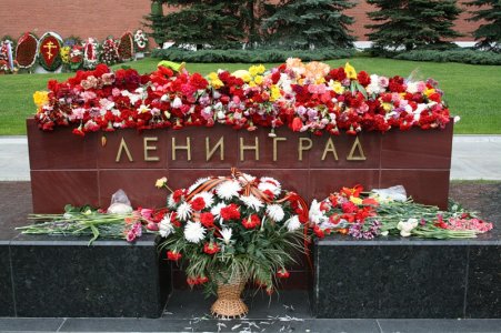 РіРѕСЂРѕРґ-РіРµСЂРѕР№.jpg