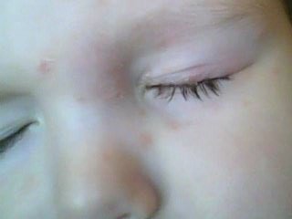 IMG0003A.jpg