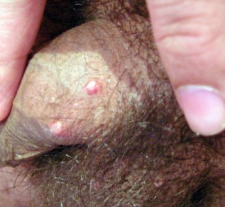 SNC10027.jpg