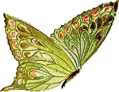 62ccea3d7752.gif