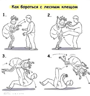 Борьба.jpg