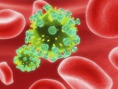 virus.jpg