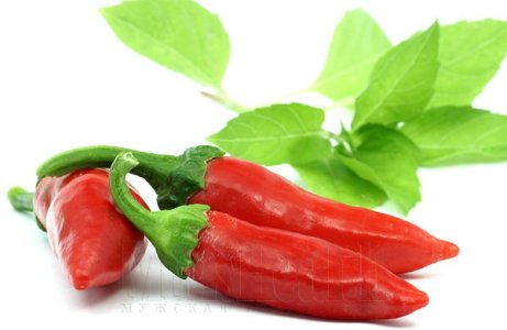 Красный перец.jpg