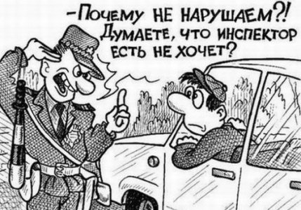 500_29.jpg
