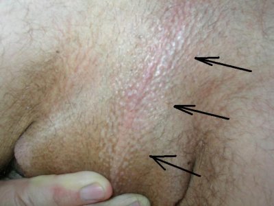 PICT0003.JPG