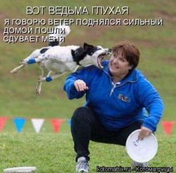 542308.jpg
