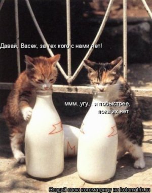 ,0321321.jpg