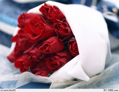 1918057000c9346f803209ab227e0a5efc6834deeb.jpg 1918057000c9346f803209ab227e0a5efc6834deeb.jpg