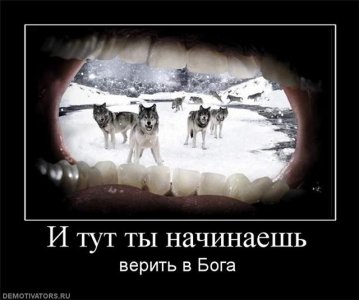 c1e61c0f4533.jpg