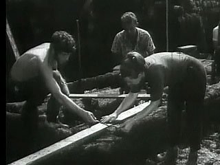 b_419180.jpg