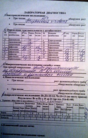 IMAG0023.jpg