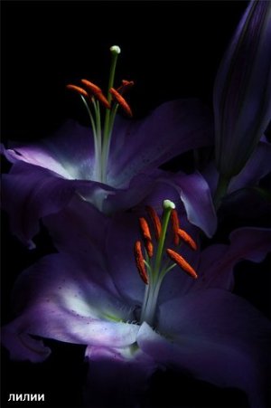 3d98932070e6.jpg