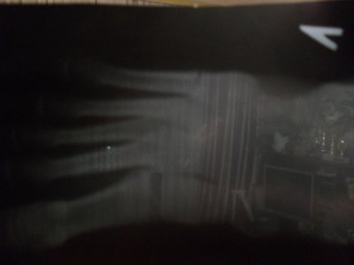 SDC11844.JPG