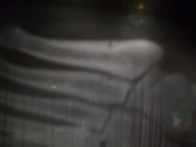 SDC11845.JPG