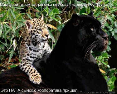 корпоратив.jpg