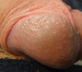 Изображение 019.jpg Изображение 019.jpg