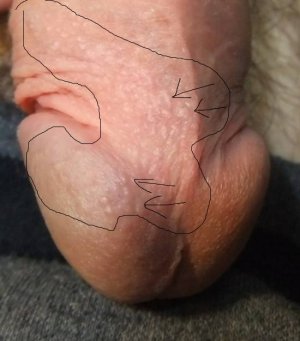 Изображение 022.jpg Изображение 022.jpg