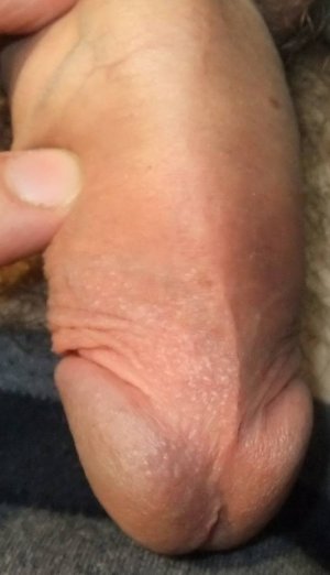 Изображение 024.jpg Изображение 024.jpg