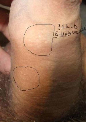 Изображение 026.jpg Изображение 026.jpg