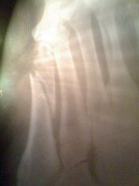 20092011_2.jpg