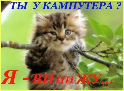 img_magda_748_0.jpg