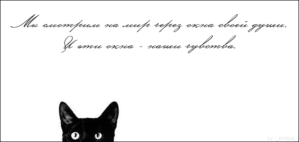 Stixi_koteiko.ru_1.gif