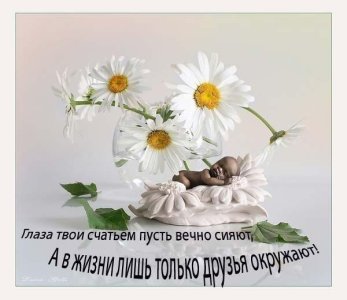 жизнь.jpg