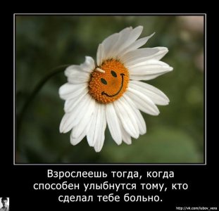 правда.jpg
