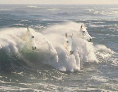морские волны.jpg