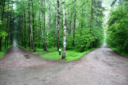 По милости Божи&#1.jpg
