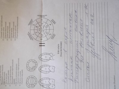 Изображение 014.jpg111.jpg