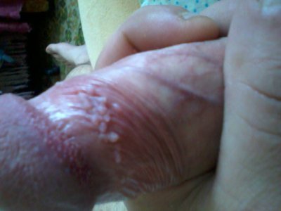 Фото0055.jpg Фото0055.jpg