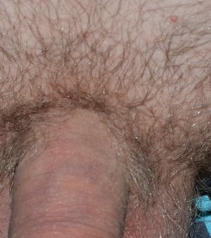 DSC_4037.JPG