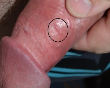 DSC_4041.JPG