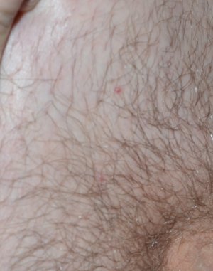 DSC_4046.JPG